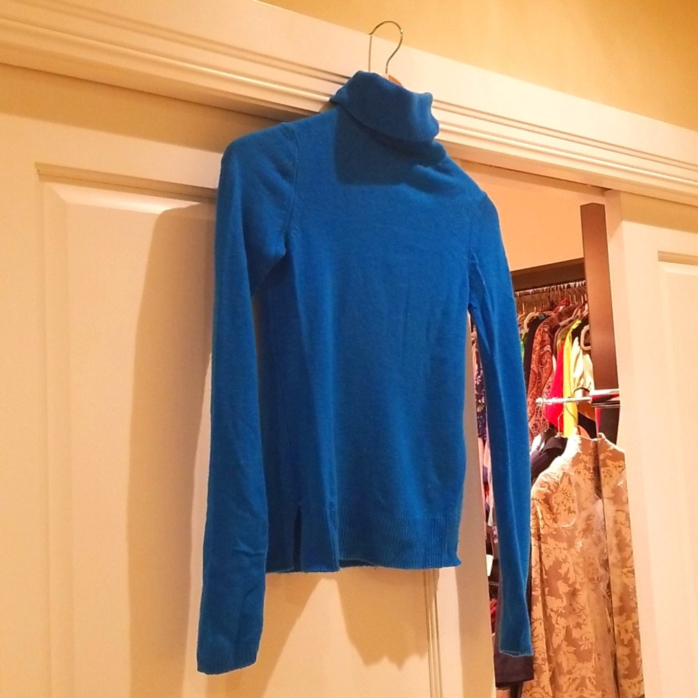 - Cashmere Ellen Tracy turtleneck